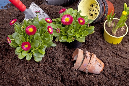 Professional garden clearance service in Victoria
