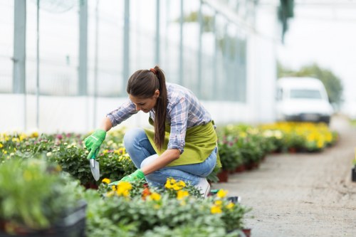 Garden waste removal in Victoria