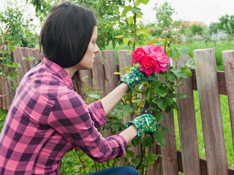 Essential lawn mowing tools for Victoria