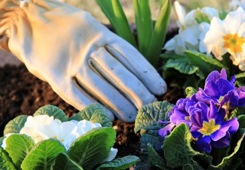 Choosing a garden clearance service