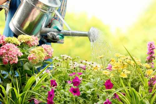 Selection of native plants thriving in Victorian climate