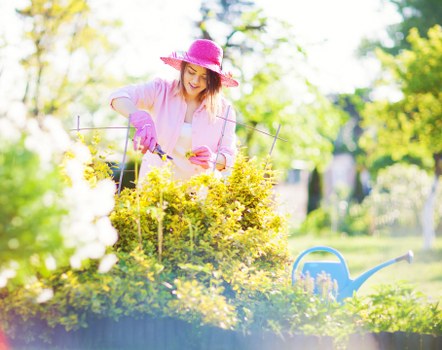 Sustainable gardening practices in a Victorian garden