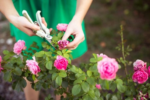 Professional landscapers working on a Victorian property