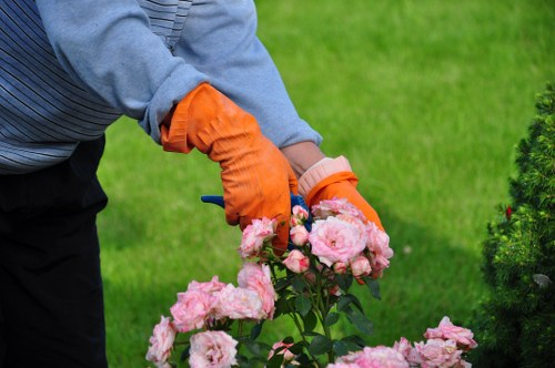 Essential tools for hedge trimming laid out