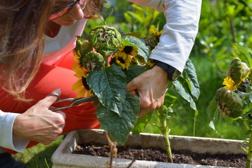 Coordinated plant selection for landscape gardening